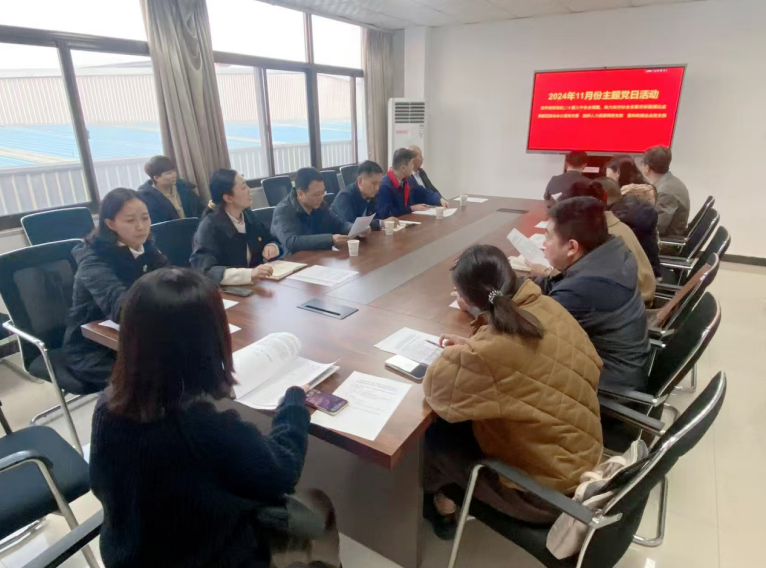深入學(xué)習(xí)黨的二十屆三中全會(huì)精神，開(kāi)展主題黨日活動(dòng)